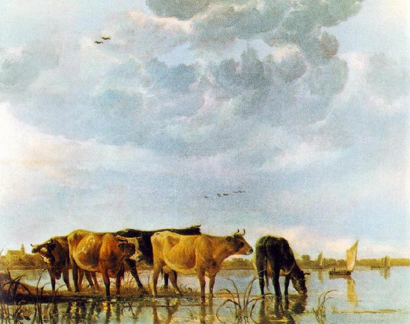 CUYP, Aelbert Cows in the Water Germany oil painting art